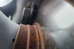 PHOTO-2026-01-19-18-45-24