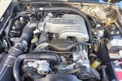 PHOTO-2026-01-19-18-45-39_1